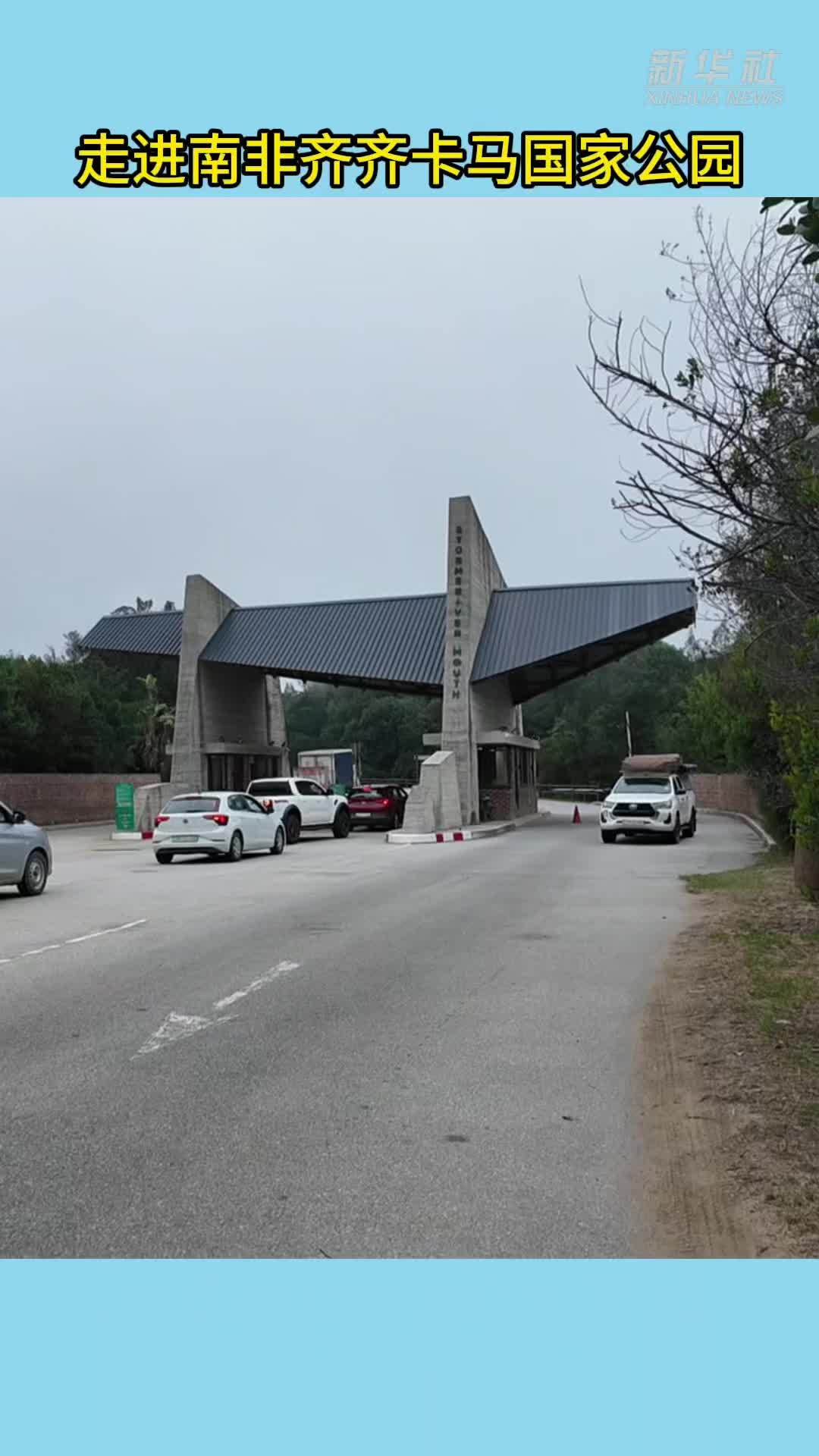 走进南非齐齐卡马国家公园