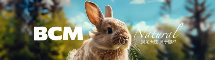 燃爆深宠展！BCM 小宠专家携宝藏单品重磅出圈，打造小宠科学喂养解决方案！