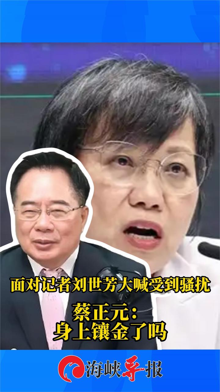 面对记者，台高官大喊受到骚扰，蔡正元讽：身上镶金了吗