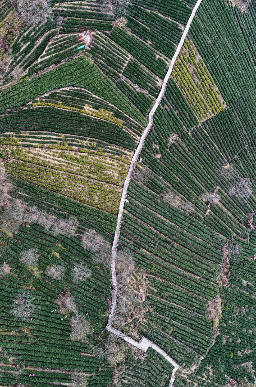 本组图片丨冉创昌