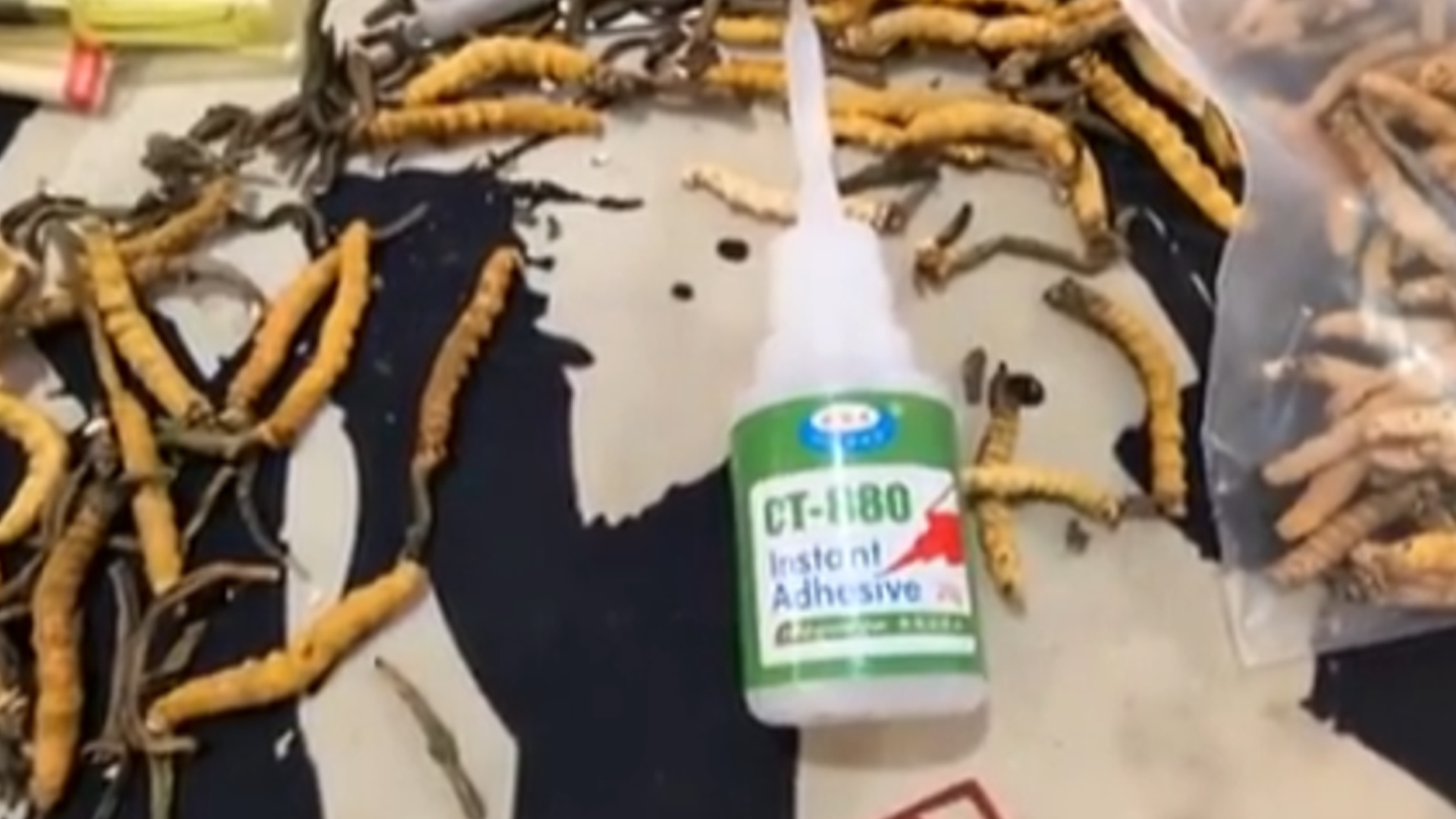 避坑！年销20万根的冬虫夏草竟是胶水拼的，商家宣称：买的好胶水，人吃了没事