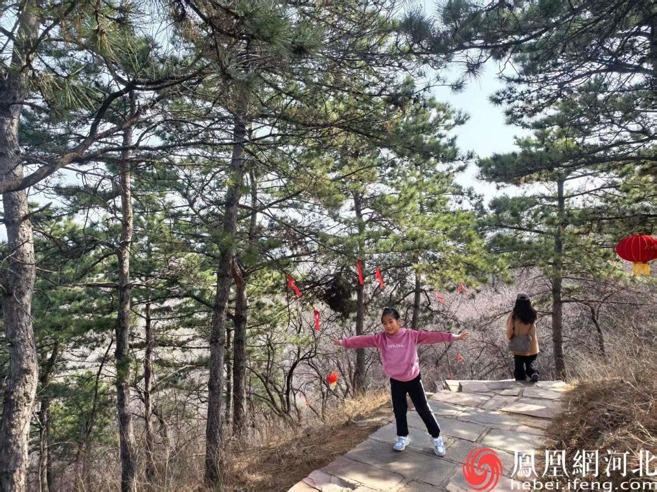 棋盘山春日游,孩童在林间尽享春日美景 安博宇摄