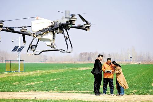 3月16日,武邑县顺天农机专业合作社,侯志远(左一)指导农机手对麦田进行无人机飞防。 本报记者 焦磊摄