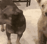 你买的二手iPhone17 Pro Max,可能被人动了手脚