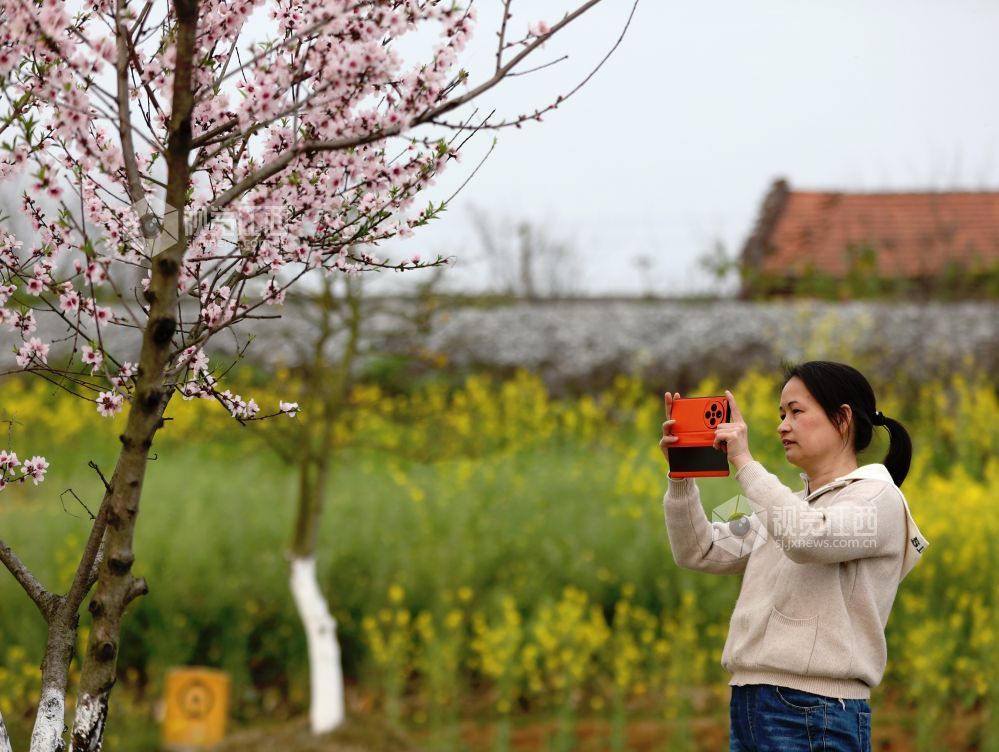 江西分宜：介溪湿地 春色宜人（图）