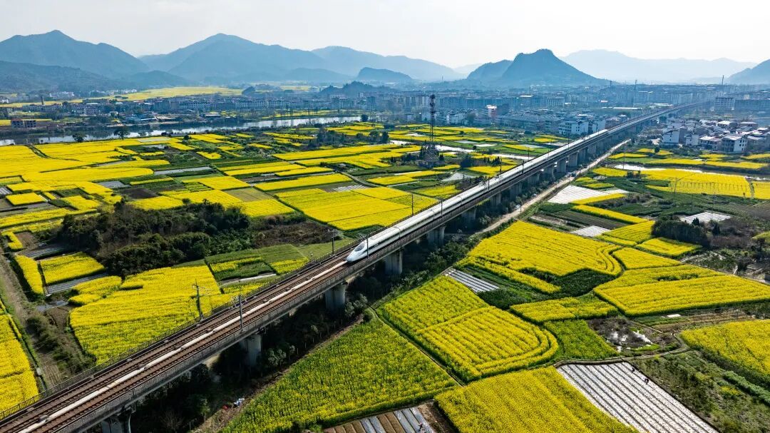 万亩油菜花海“金”艳登场，袁州这个村等你来打卡