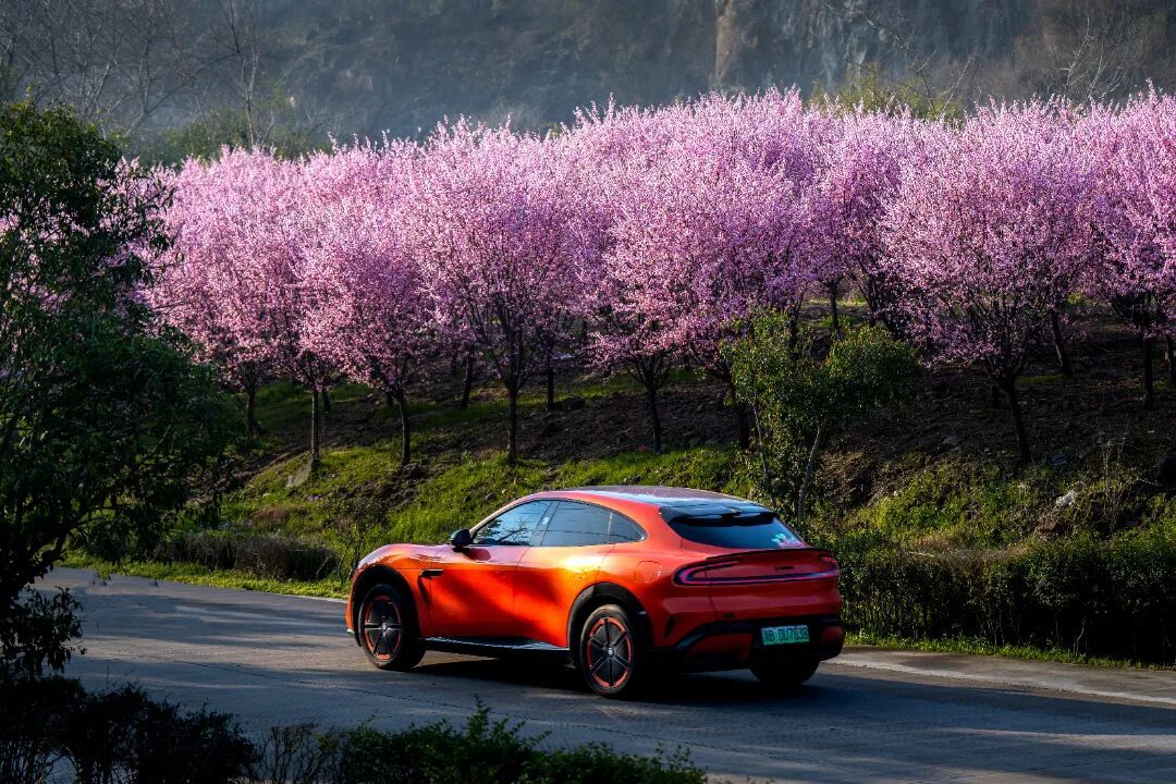 姚城探春丨余姚的春天認真“營業”中