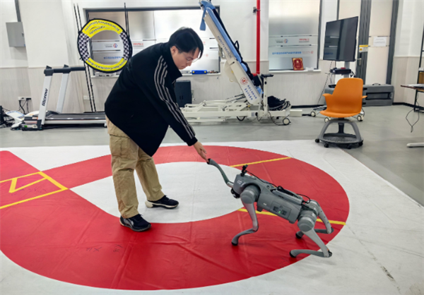 我国脑机接口技能新自便 宅心念截止机器狗