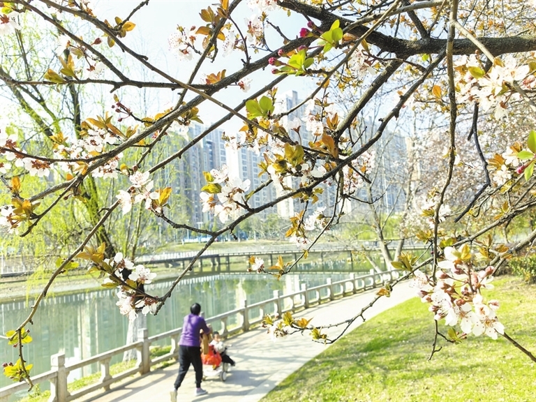 九江：春风拂面景如画 踏青寻美正当时（图）