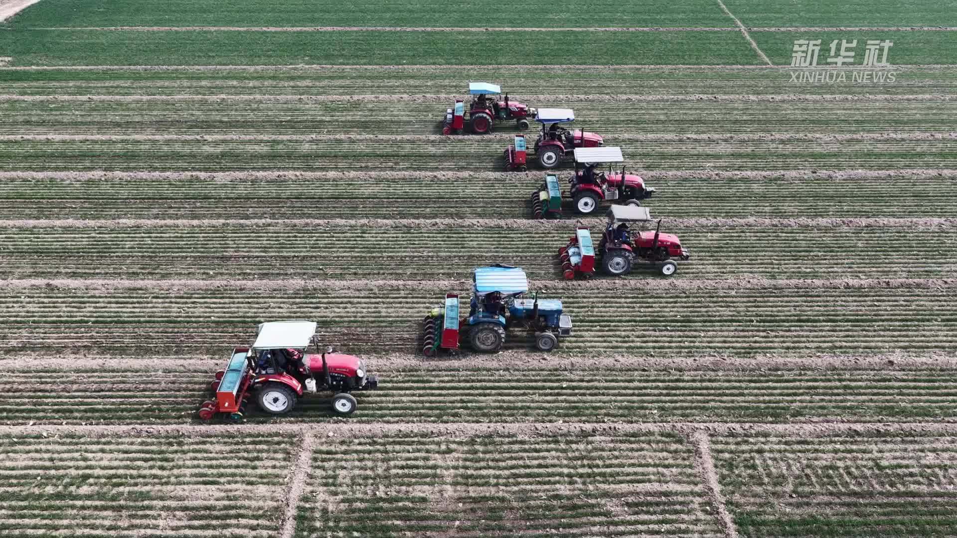 山东茌平：农业社会化服务赋能春管提质增效