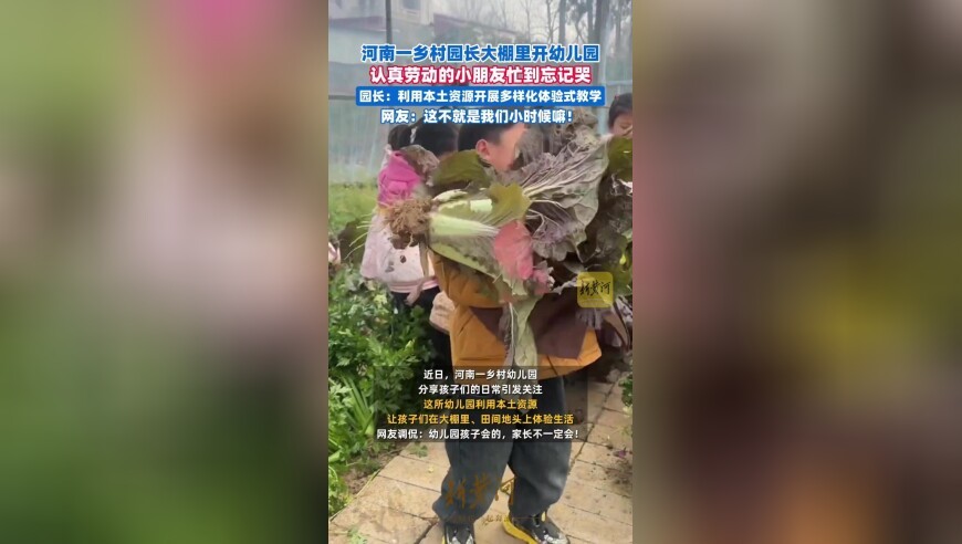 河南一乡村园长大棚里开幼儿园，认真劳动的小朋友忙到忘记哭