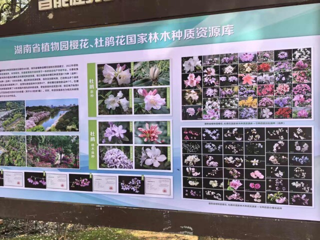 （现场展示的资源库。彭雅惠 摄）