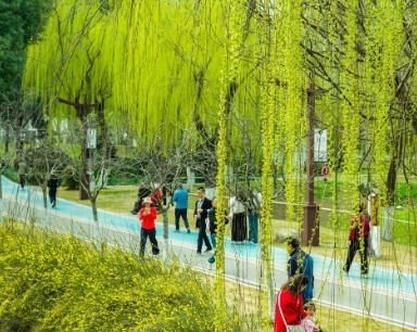 春分时节 正值春半好踏青