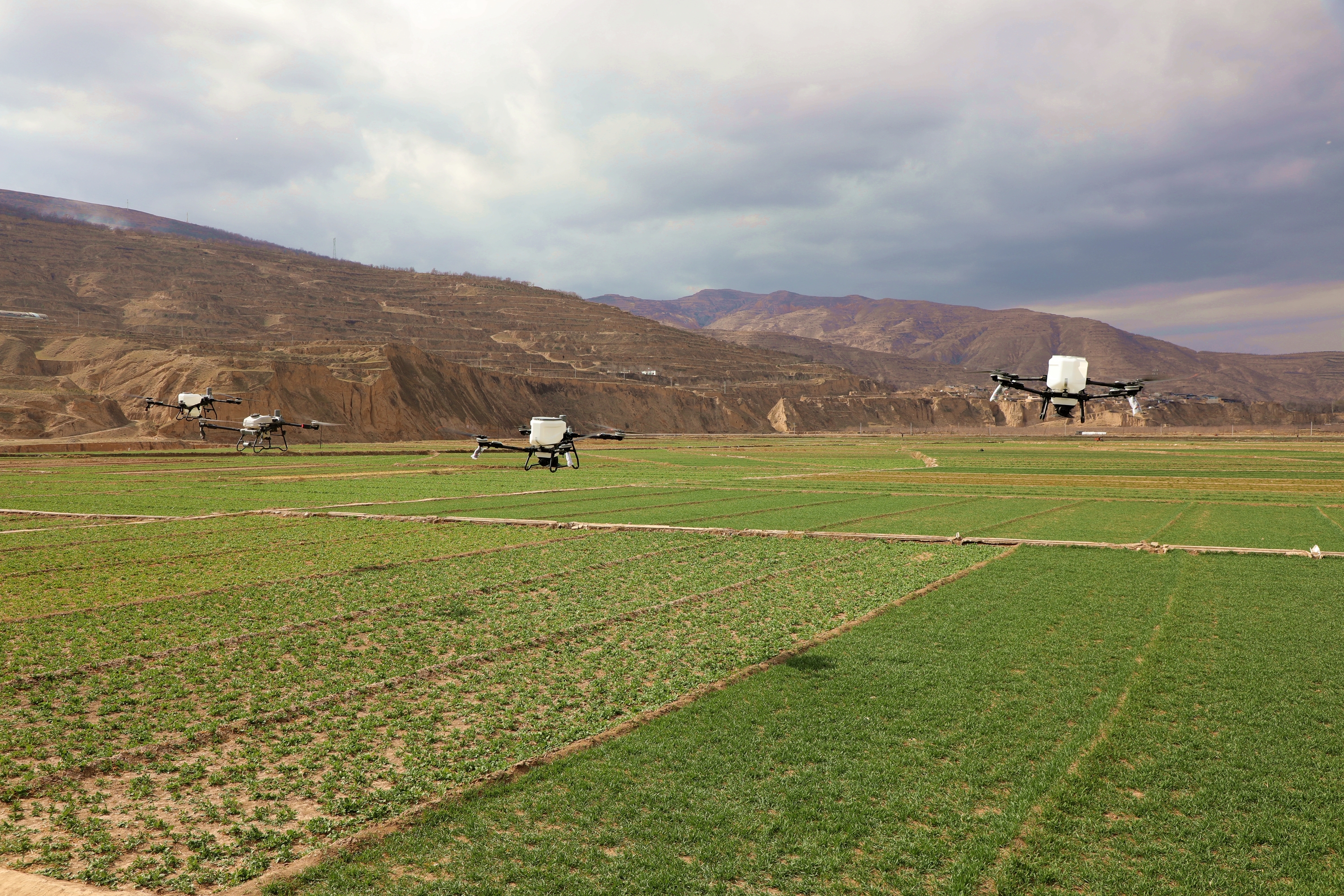 无人机施肥作业