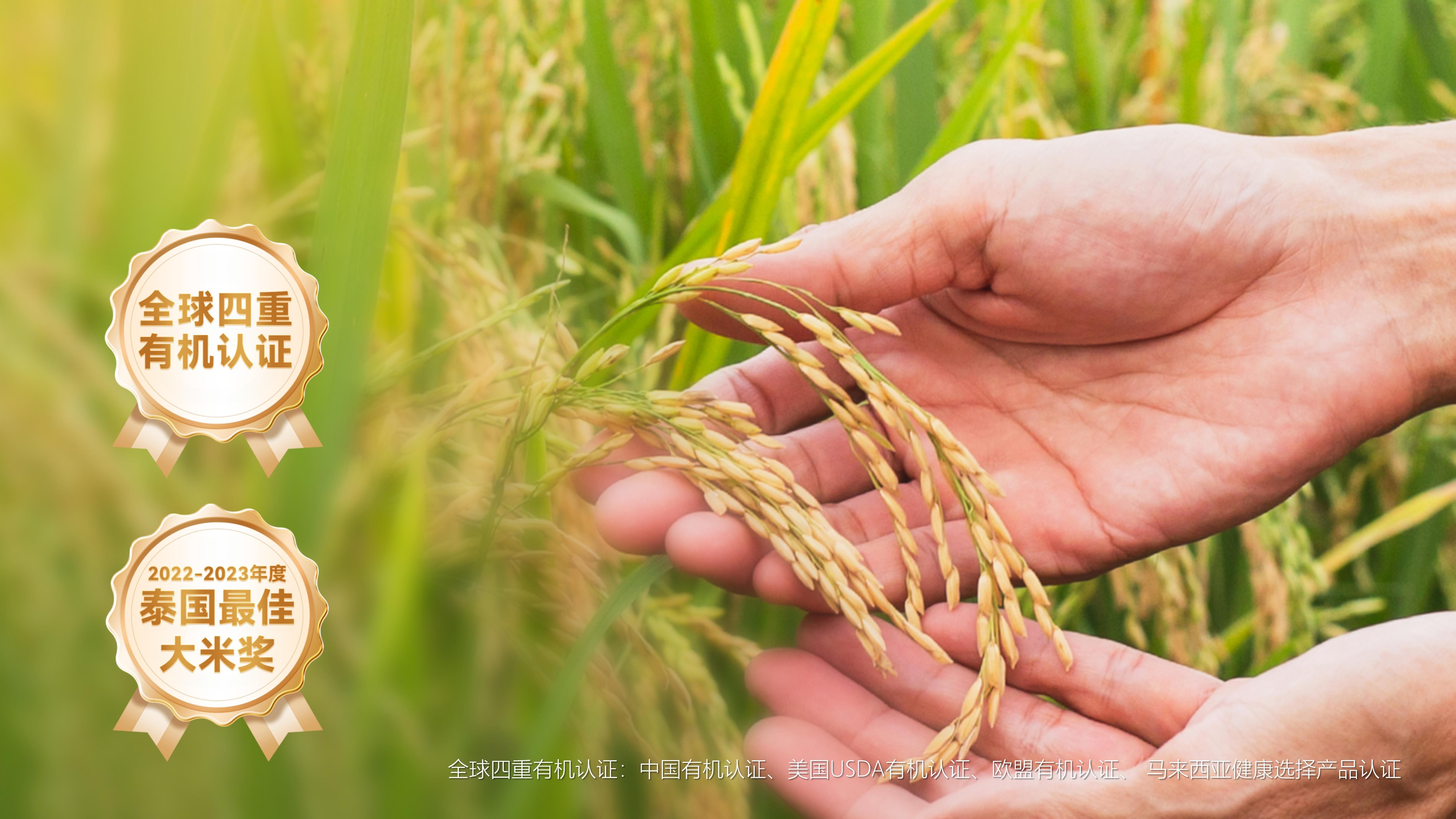 点击查看原始图片