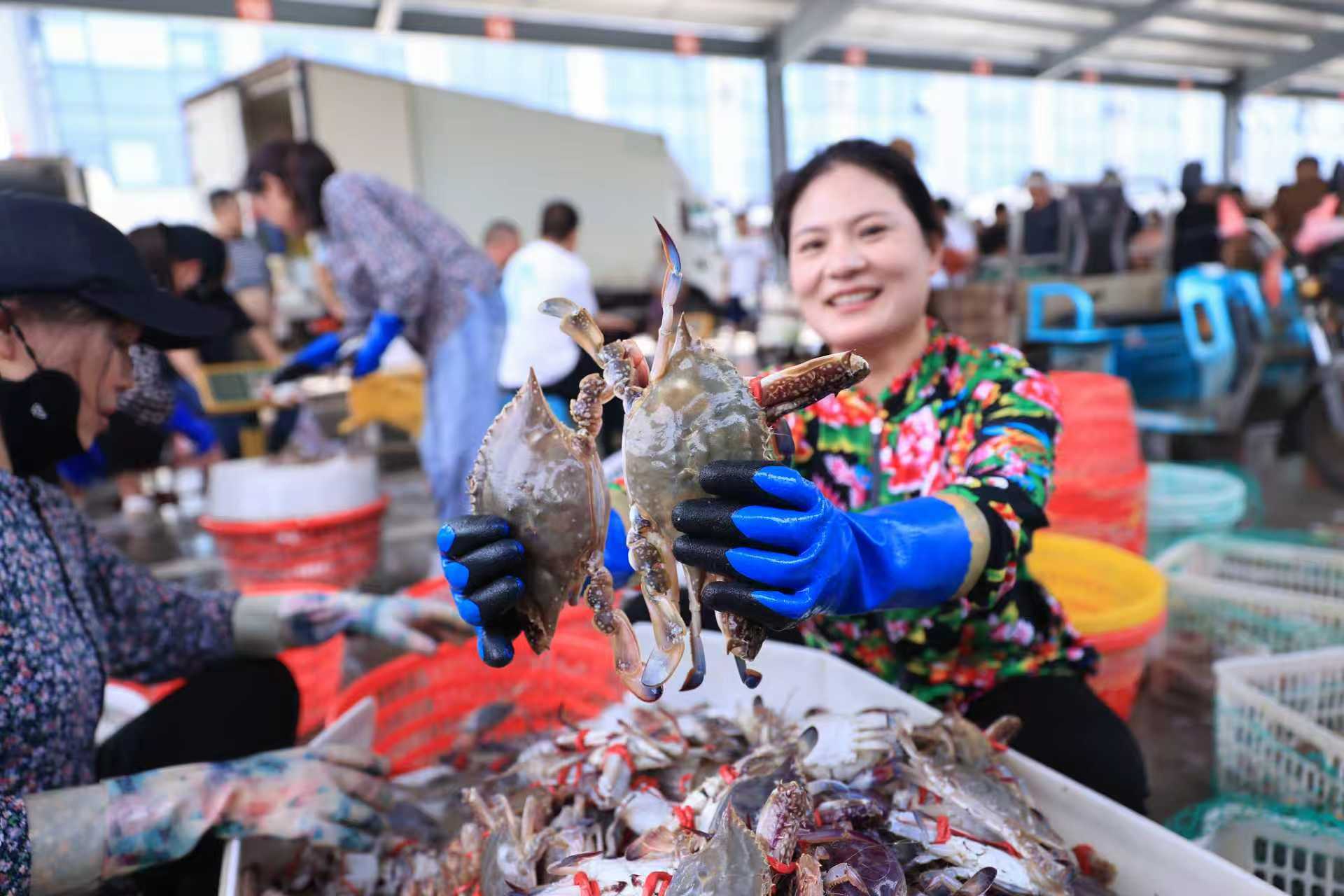 重新定义“海”的价值：赣榆如何锻造“蓝色引擎”？