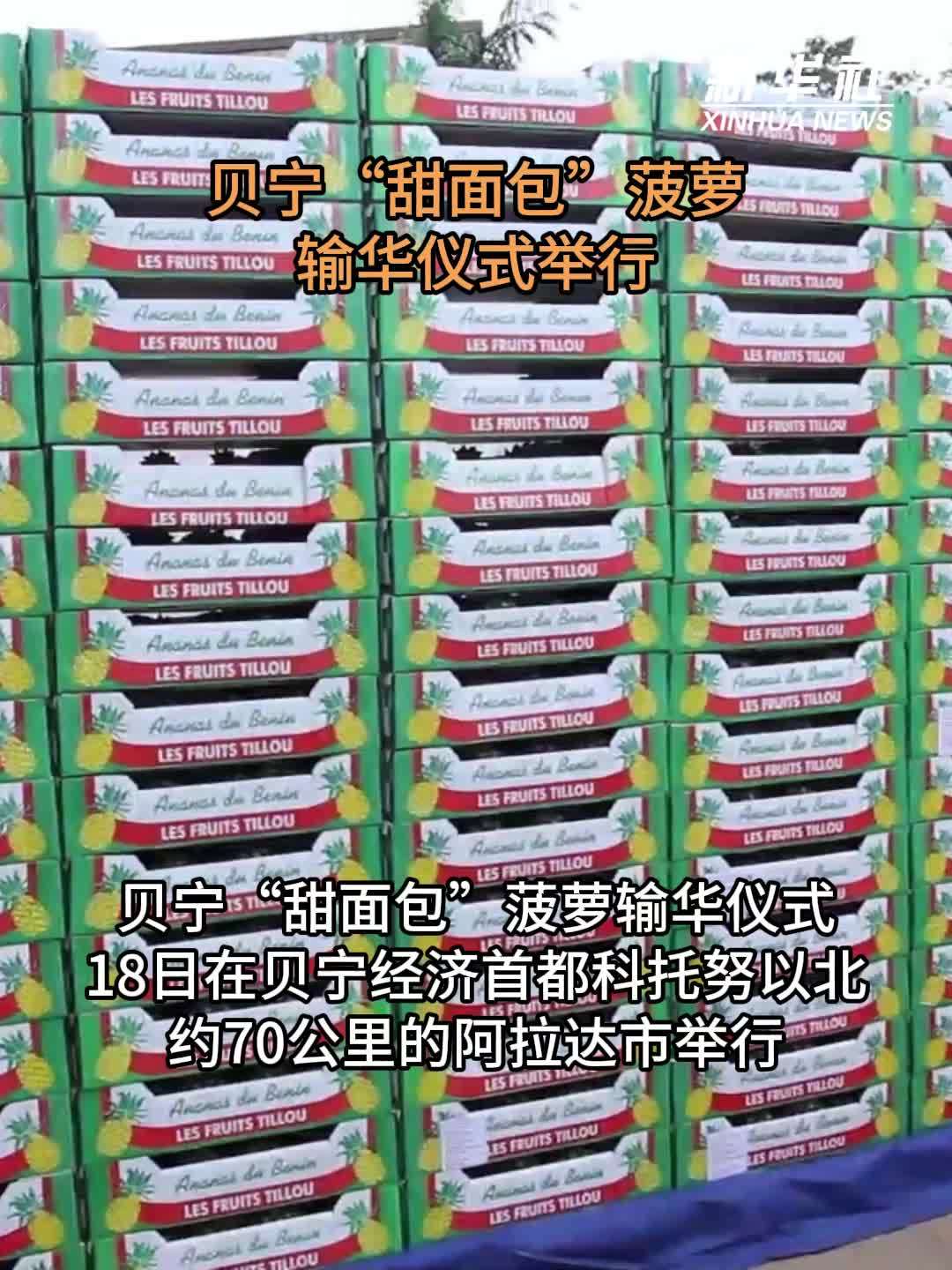 贝宁“甜面包”菠萝输华仪式举行