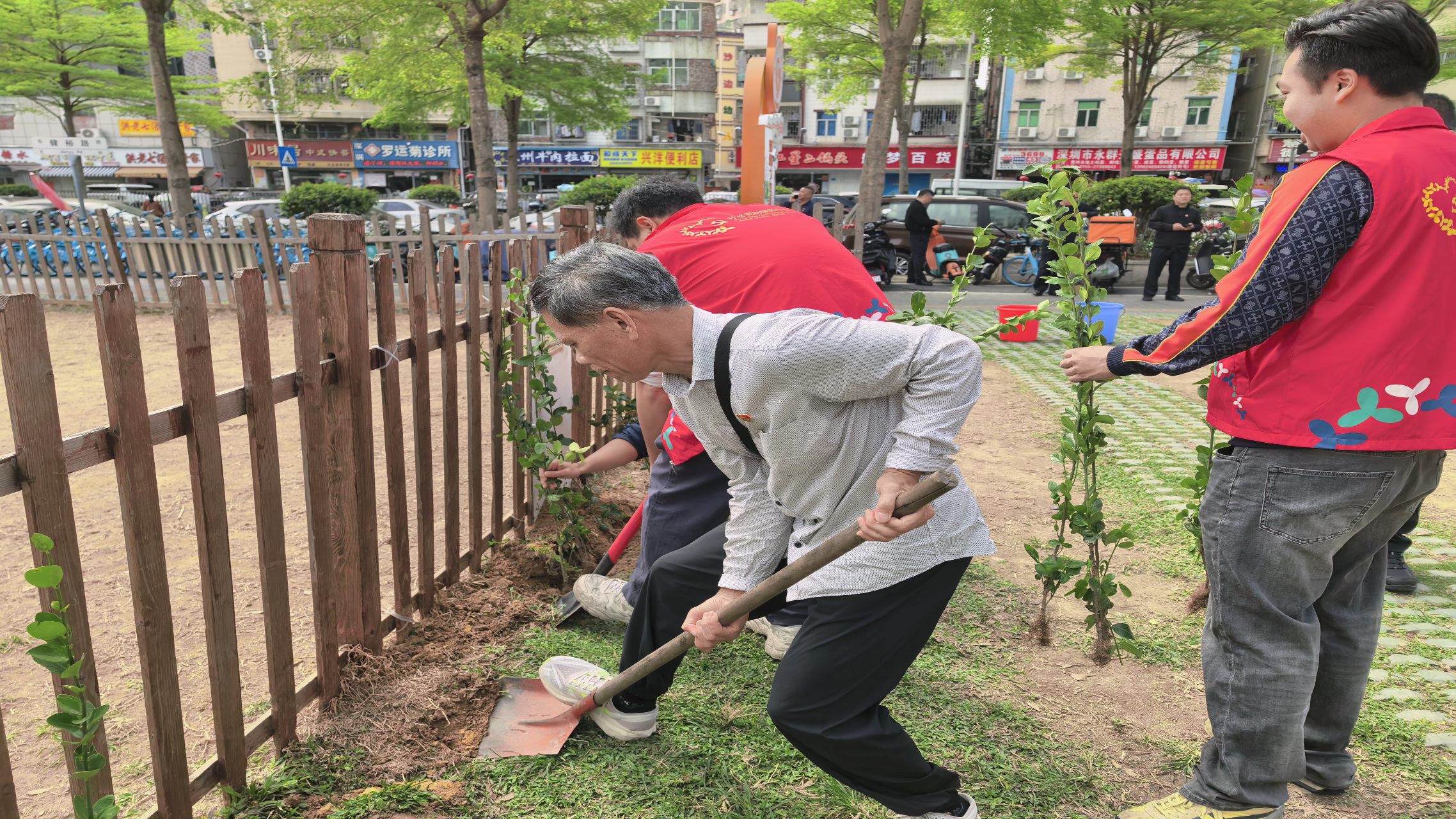春风拂绿绽新枝，党员植树践初心--南昌社区开展“爱绿植绿护绿兴绿”主题党日活动