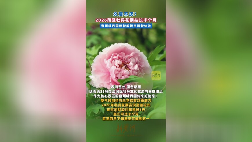 久赏不厌！2026菏泽牡丹花期拉长半个月，曹州牡丹园焕新解锁赏游新体验