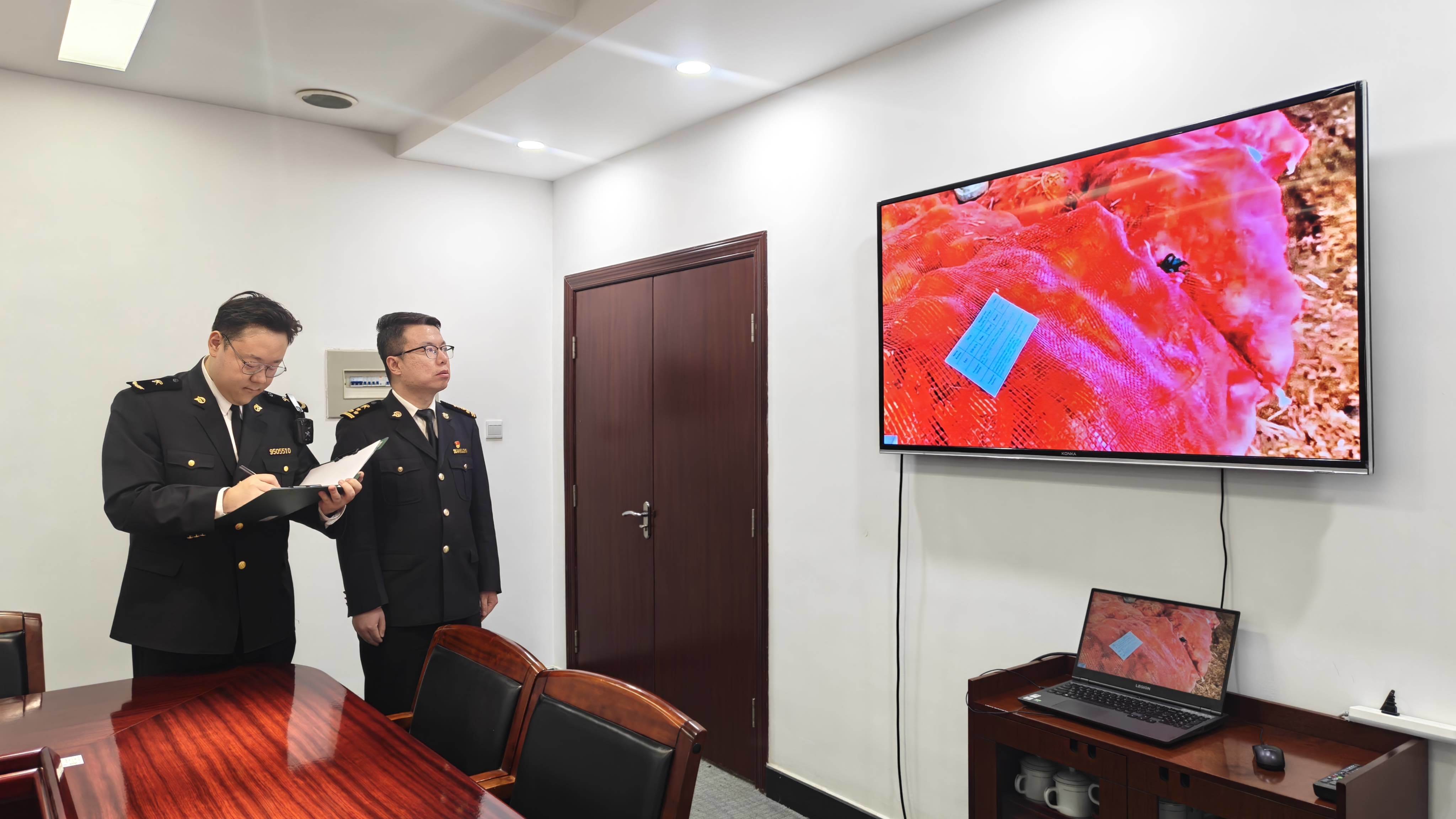 海关工作人员视频查检