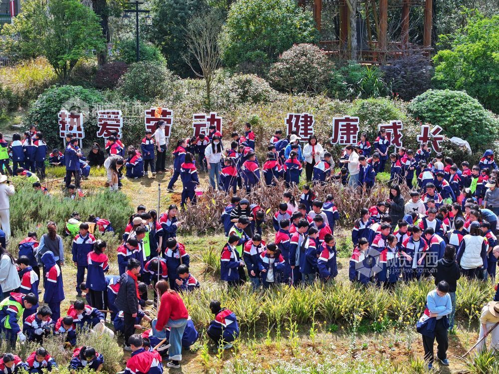 江西芦溪：中医药文化进校园（图）