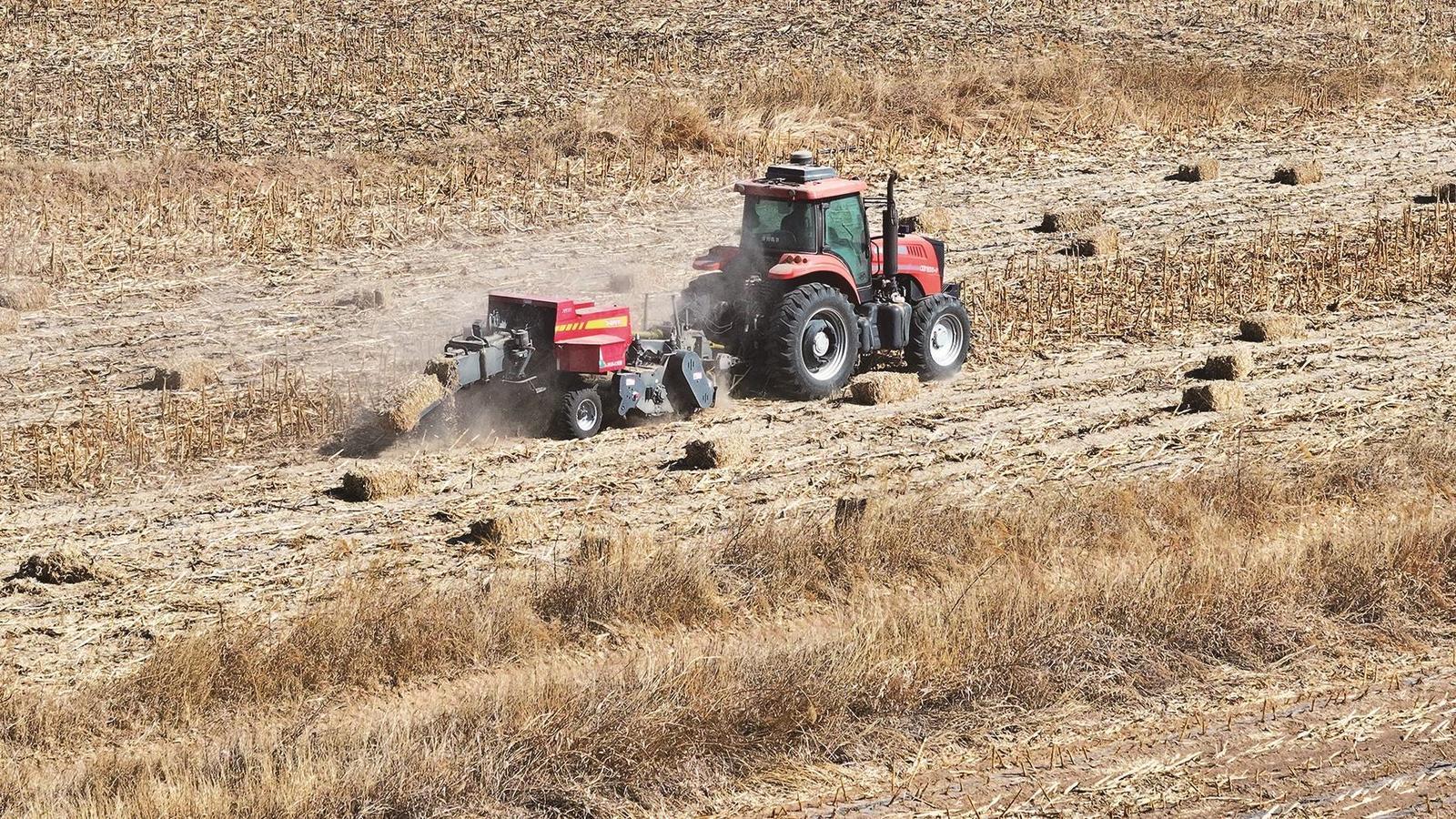 人勤春来早 万象“耕”新时