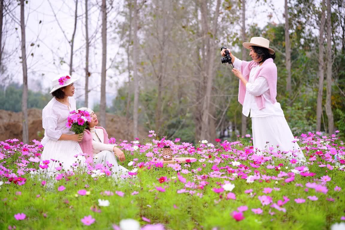 2026潜江“满城芳华”行动再升级