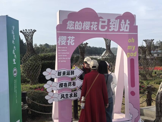 （省植物园启动樱花季。 彭雅惠 摄）