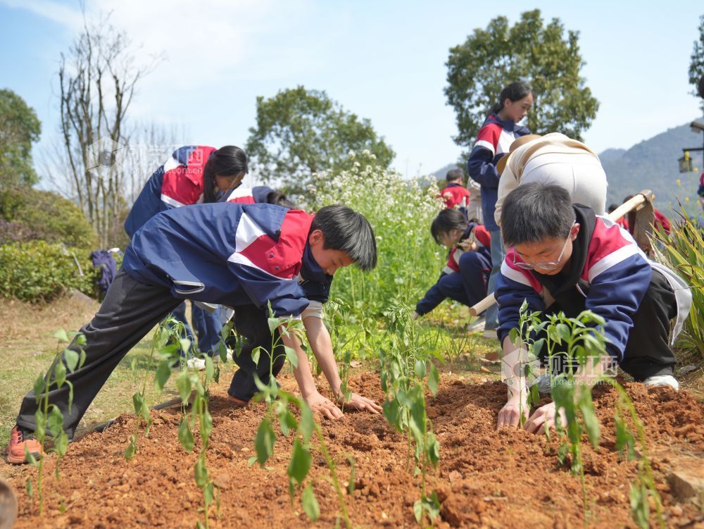 江西芦溪：中医药文化进校园（图）