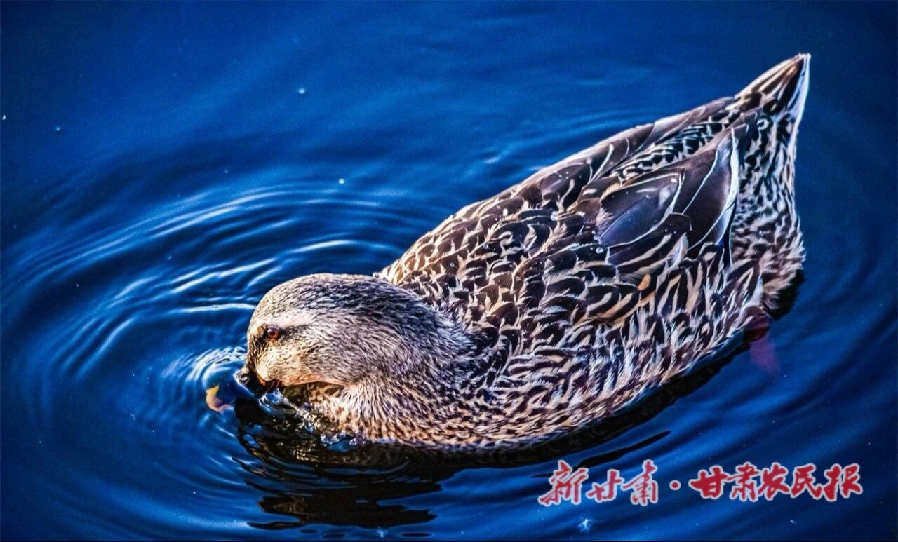 lQDPJyBFspYvWhHNAwXNBQCwpZXvtmlsVf0JhwgqV2PiAA_1280_773