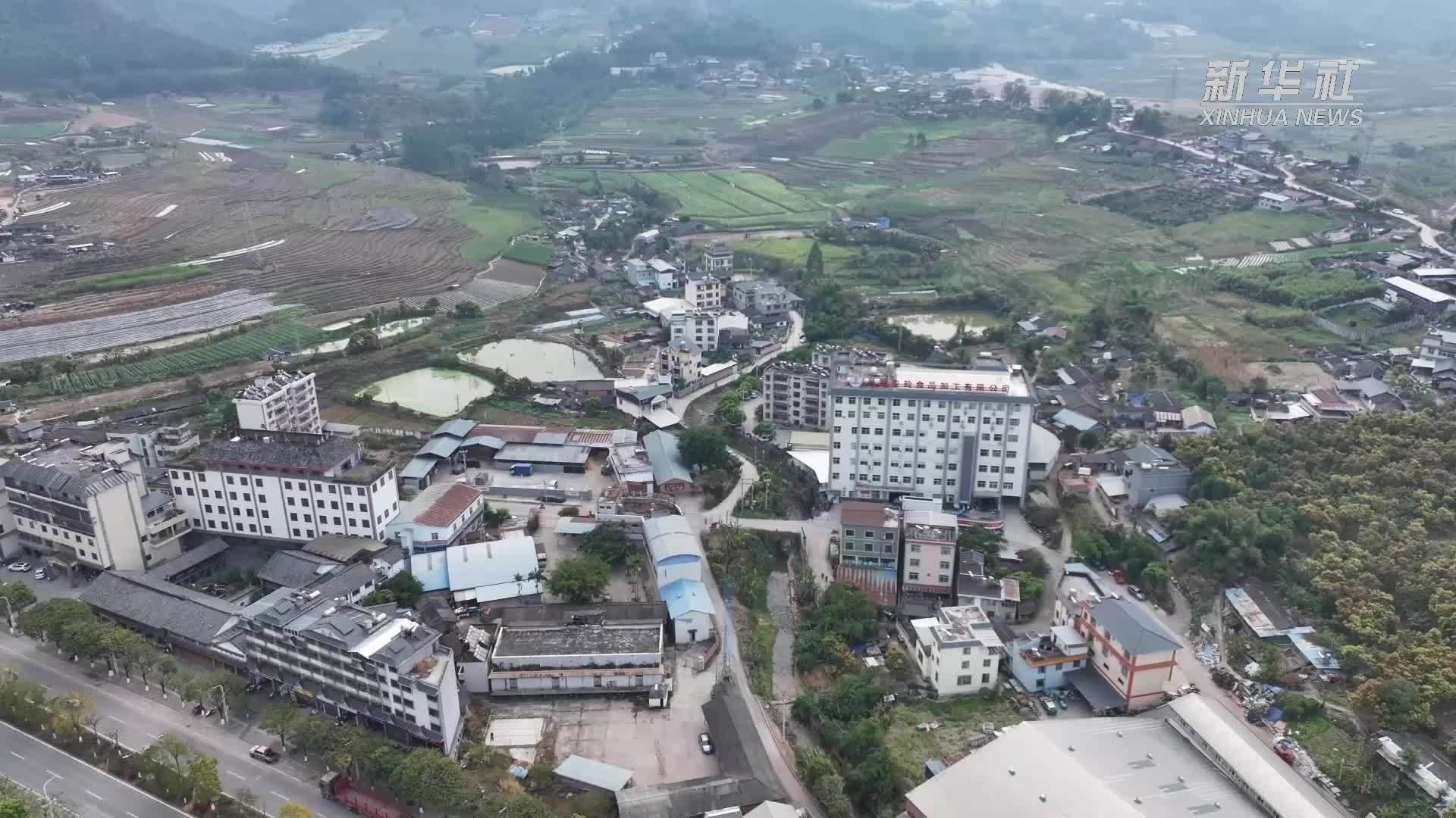 闲置校舍变身“梦工厂”！云南景谷激活“沉睡资产”