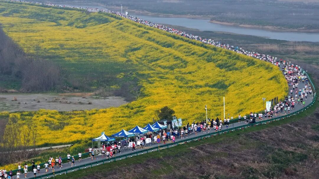 将春日美景转化为人气与商机 南昌赏花经济的农文旅商融合密码