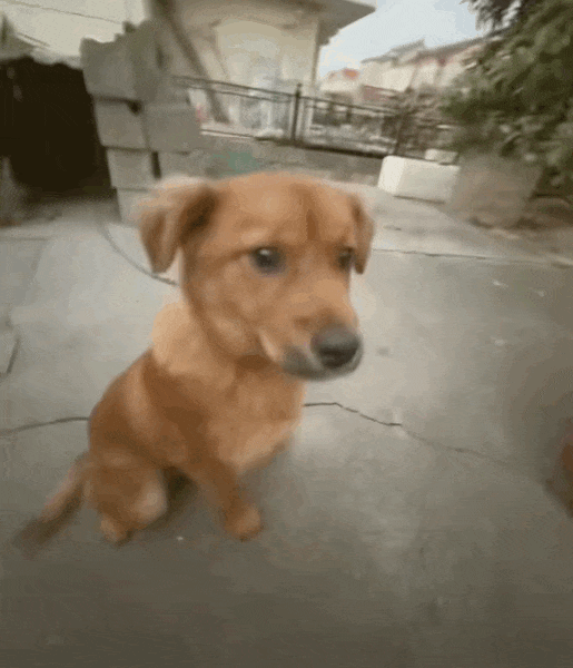 华为史上最大电池,终于定了