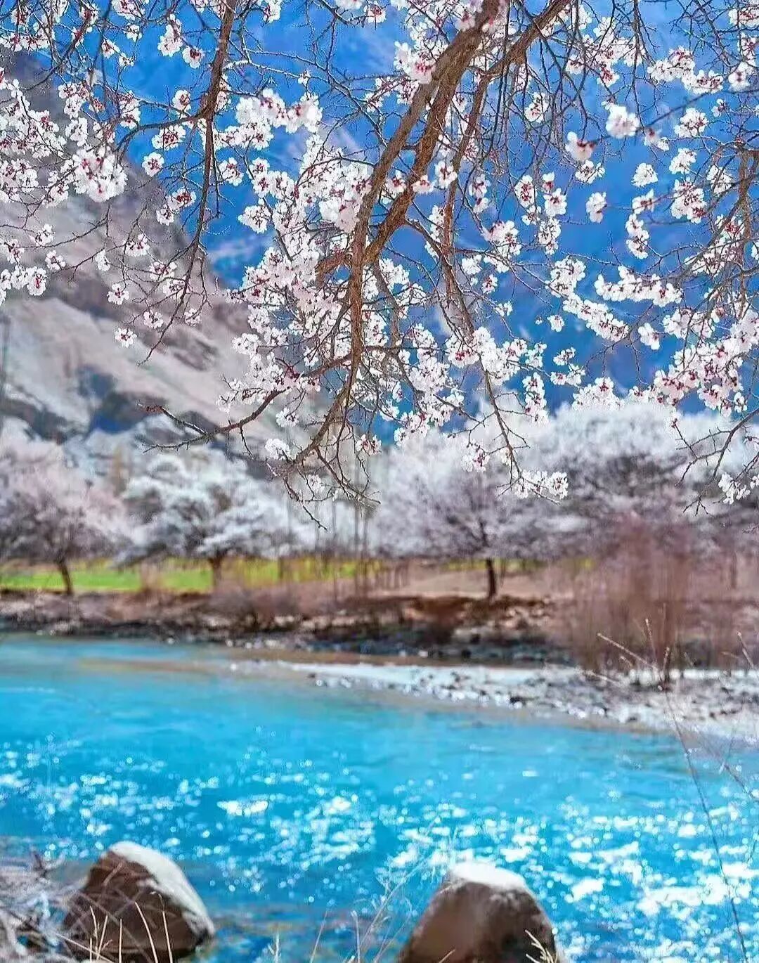 治愈系天花板!在万山之州,我找到了向往的四季凤凰网新疆_凤凰网