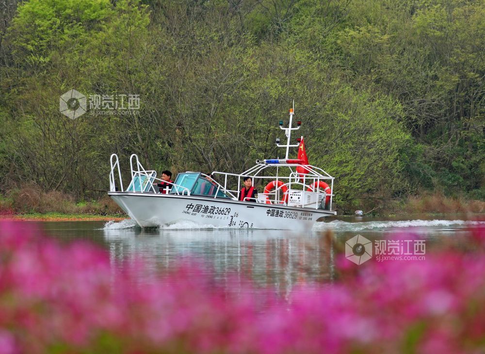2026年3月18日,江西省吉安市泰和县农业综合行政执法大队执法人员正在赣江泰和段水域进行巡江护水。