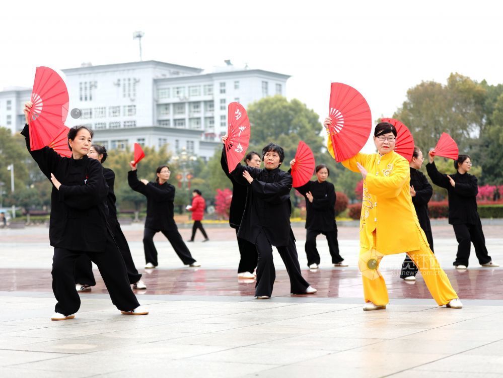 江西分宜:健康生活 太极同行(图)