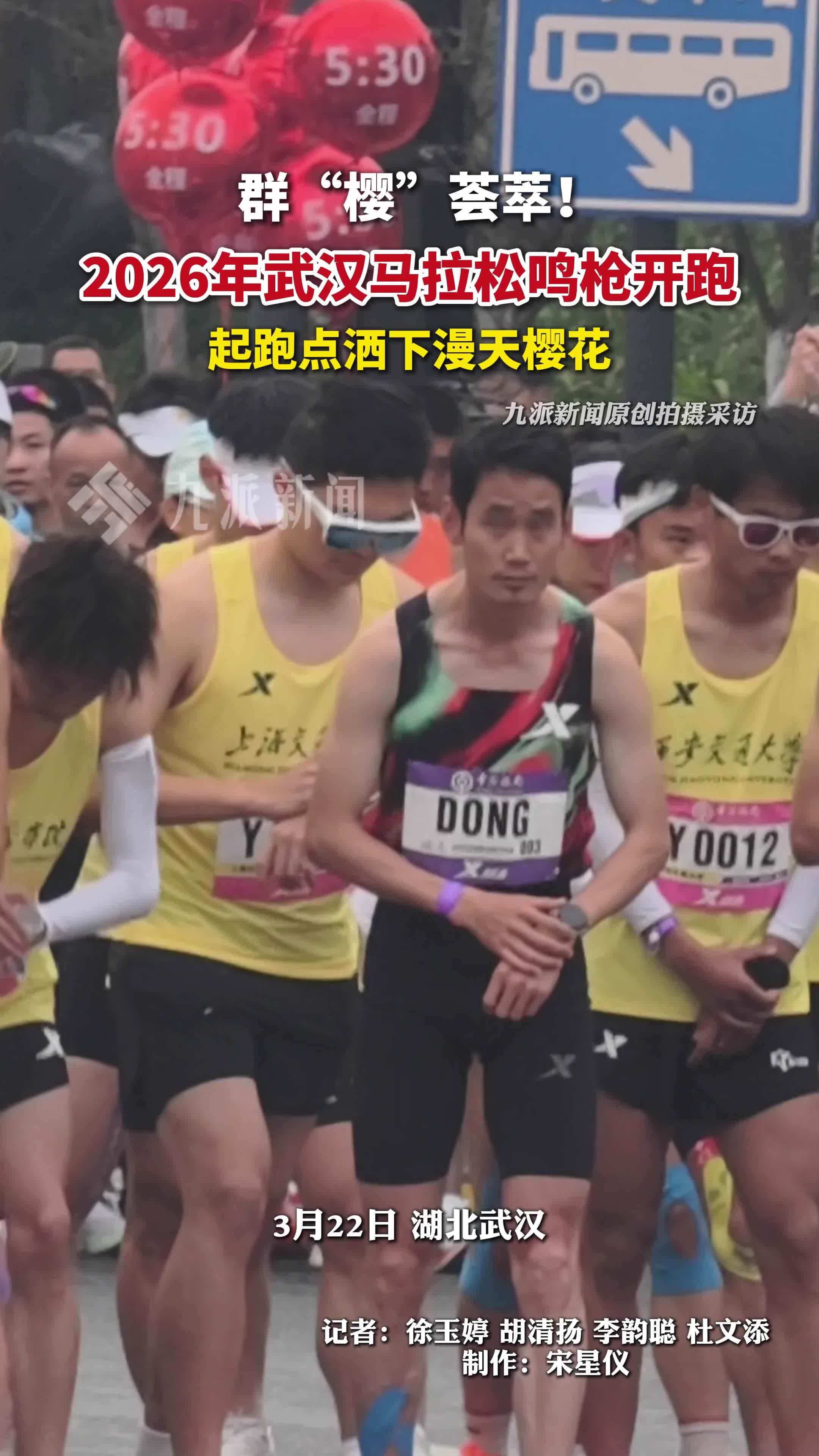 武汉马拉松鸣枪开跑，武汉马拉松洒下漫天樱花雨