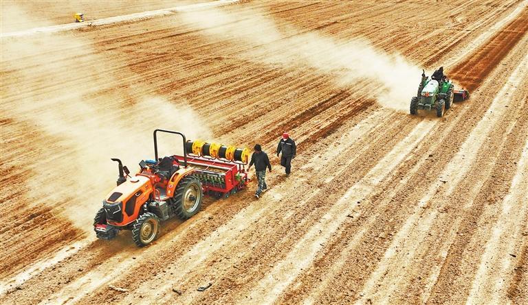 高台县巷道镇殷家桥村绿色高产小麦种植基地,农户使用北斗导航自动驾驶拖拉机牵引的播种、施肥、滴灌带铺设一体机,进行春小麦播种。新甘肃·甘肃日报通讯员 王将