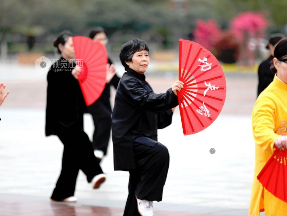 江西分宜:健康生活 太极同行(图)