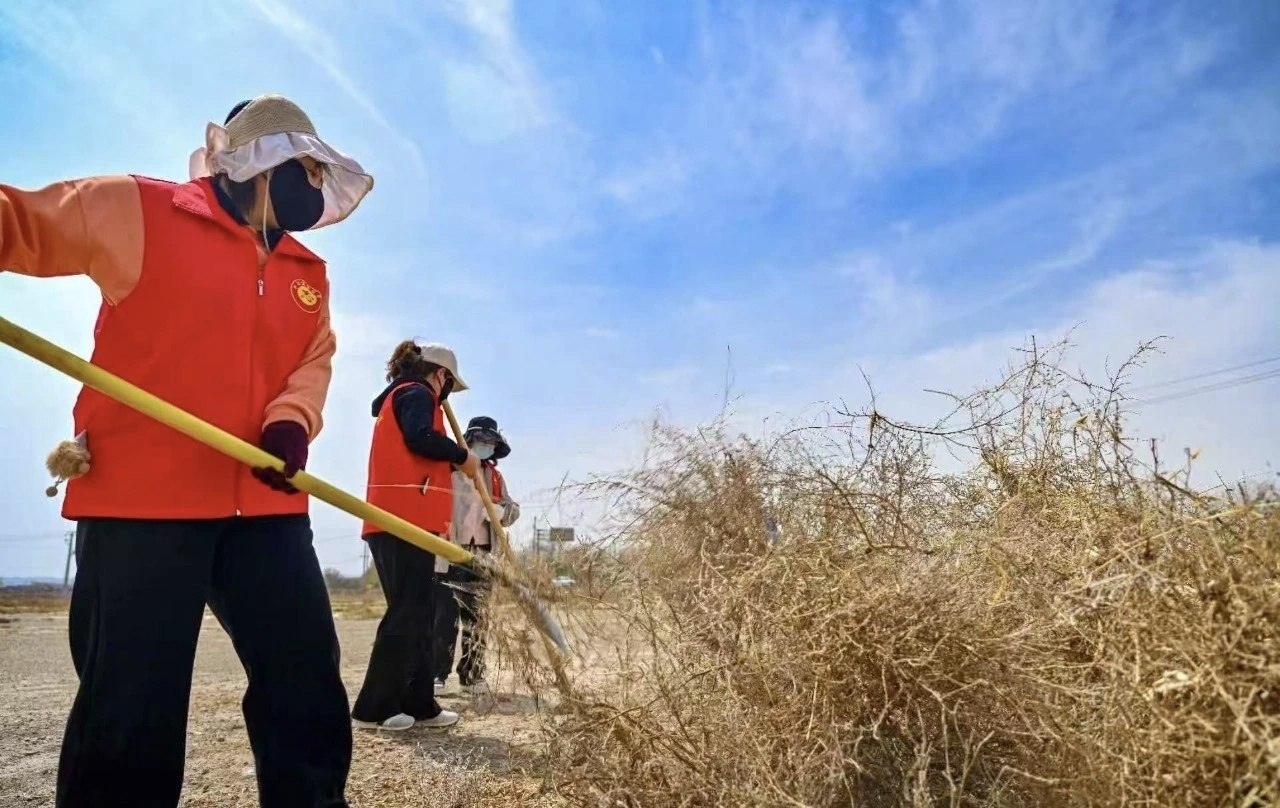 ▲开展环境卫生整治