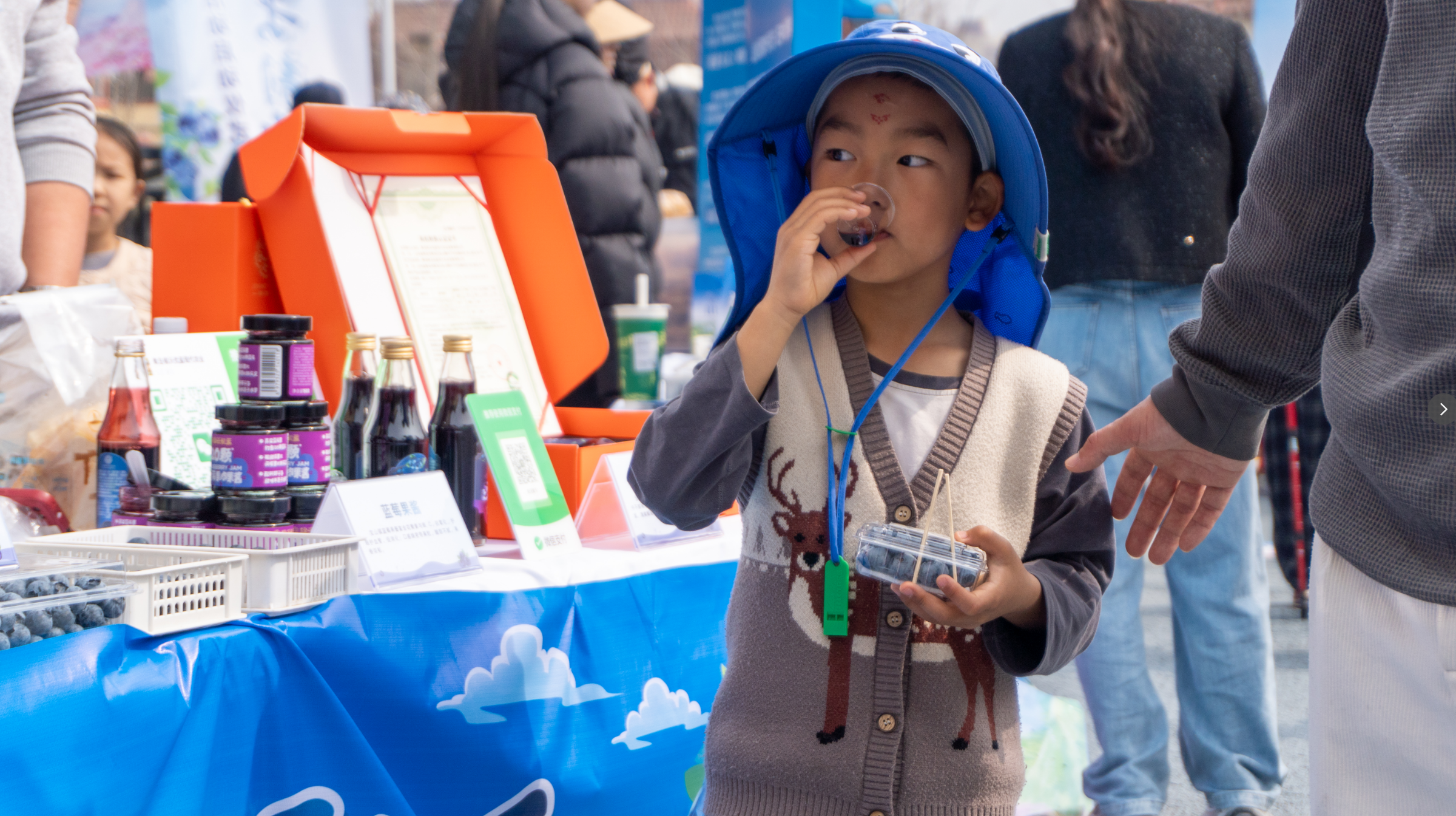 花漾山海 果韵飘香|2026“宝山蓝莓”品牌展销推介系列活动启幕