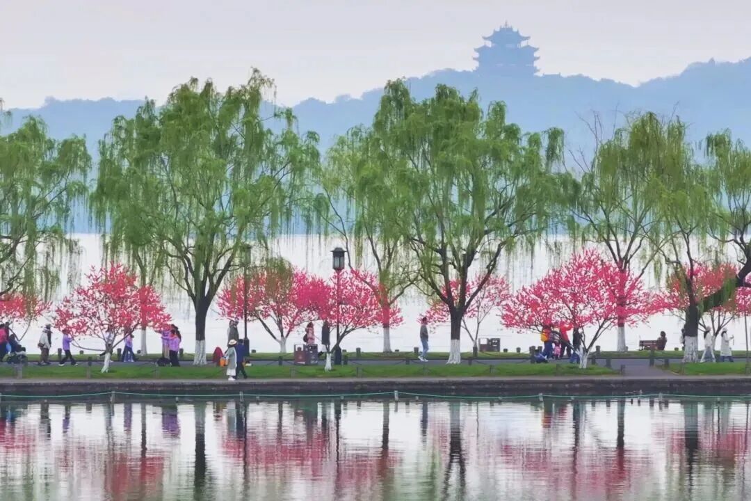 浙江宣传：如果你要写春天