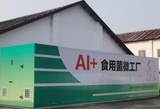 综合利用秸秆 打造有“洞庭湖”和“芦桑菇”双公共品牌的岳阳食用菌产业集群