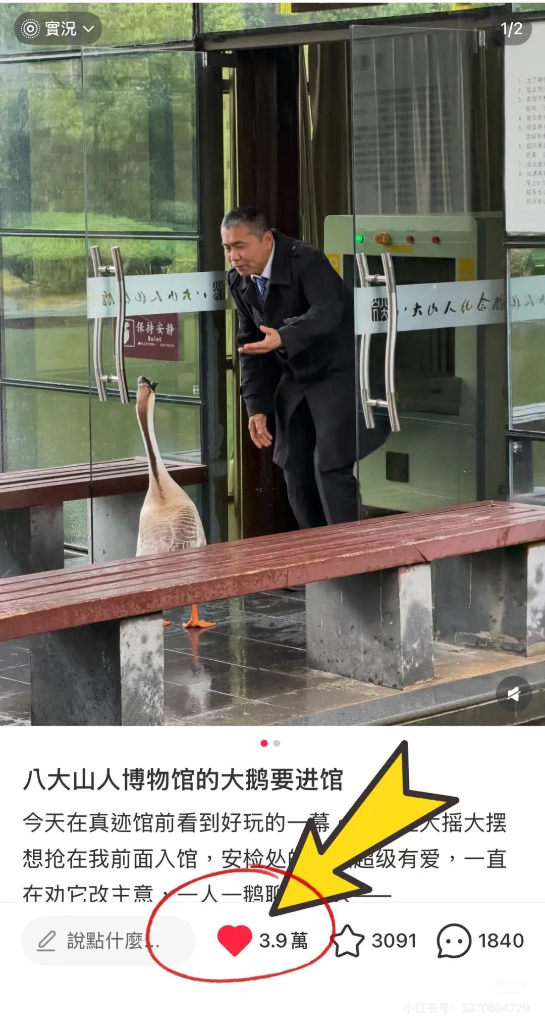 南昌八大山人纪念馆“鹅鹅耷”正式出道 延续八大经典“翻白眼”形象