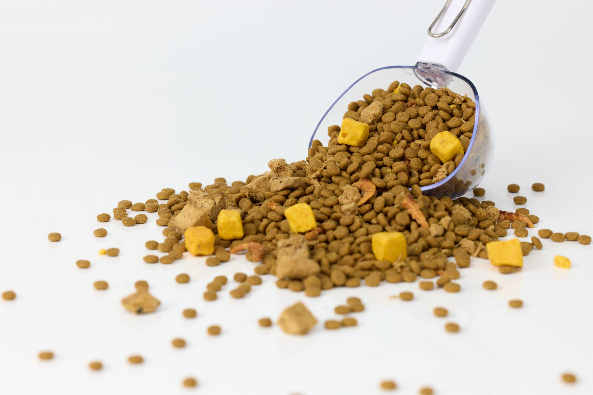 跨越重洋 西海岸新区政策惠企助宠物食品产业扬帆出海