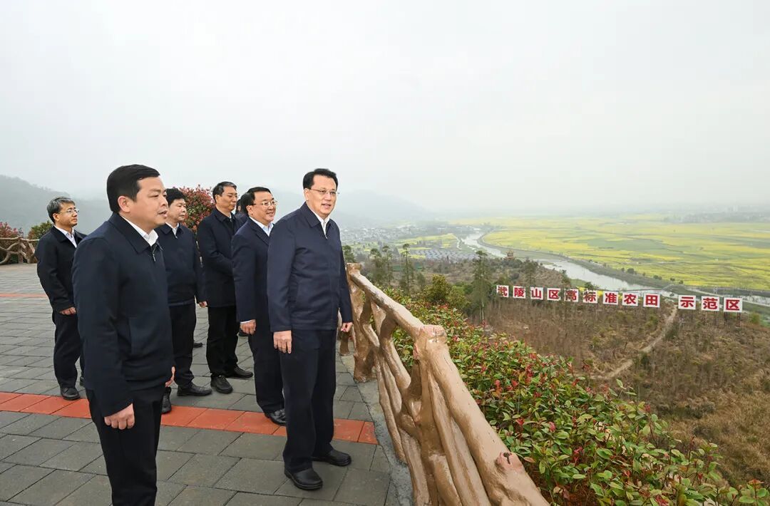 3月23日，市委书记袁家军在秀山县清溪场街道考察万亩粮油示范基地建设发展成效。记者 苏思 摄/视觉重庆