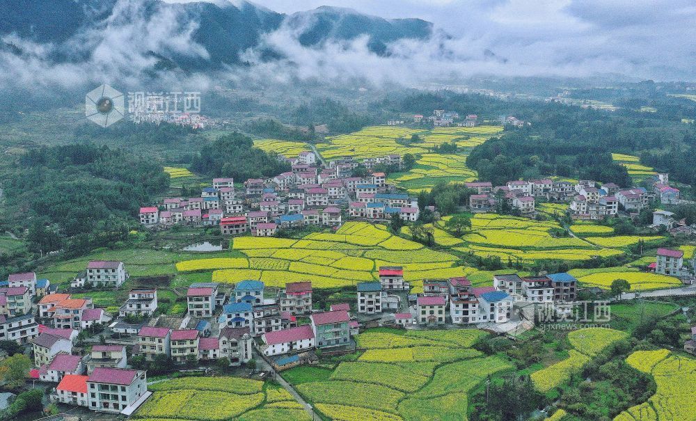 江西萍乡：花海映村居（图）