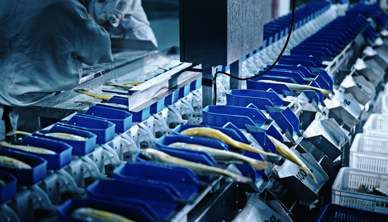 战略锚定“十五五” 向海图强耕深蓝 国信水产陆海联动践行品牌农业新模式