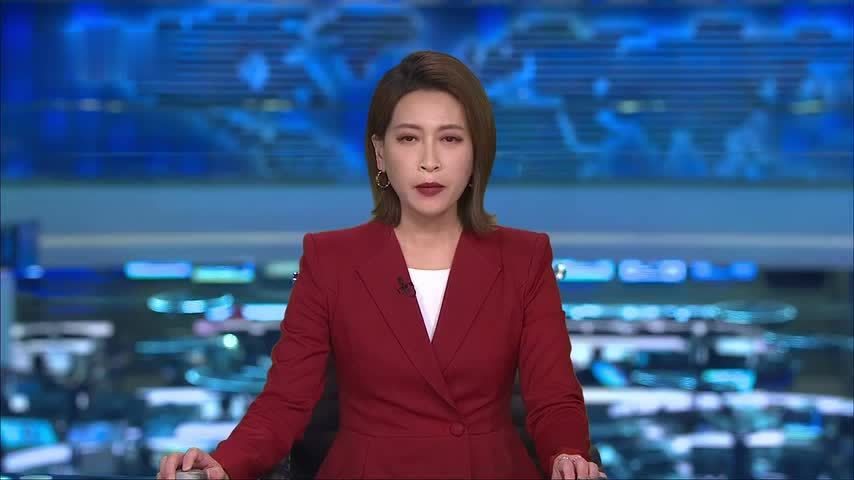 越南总理访俄晤普京 签合建核电站协议