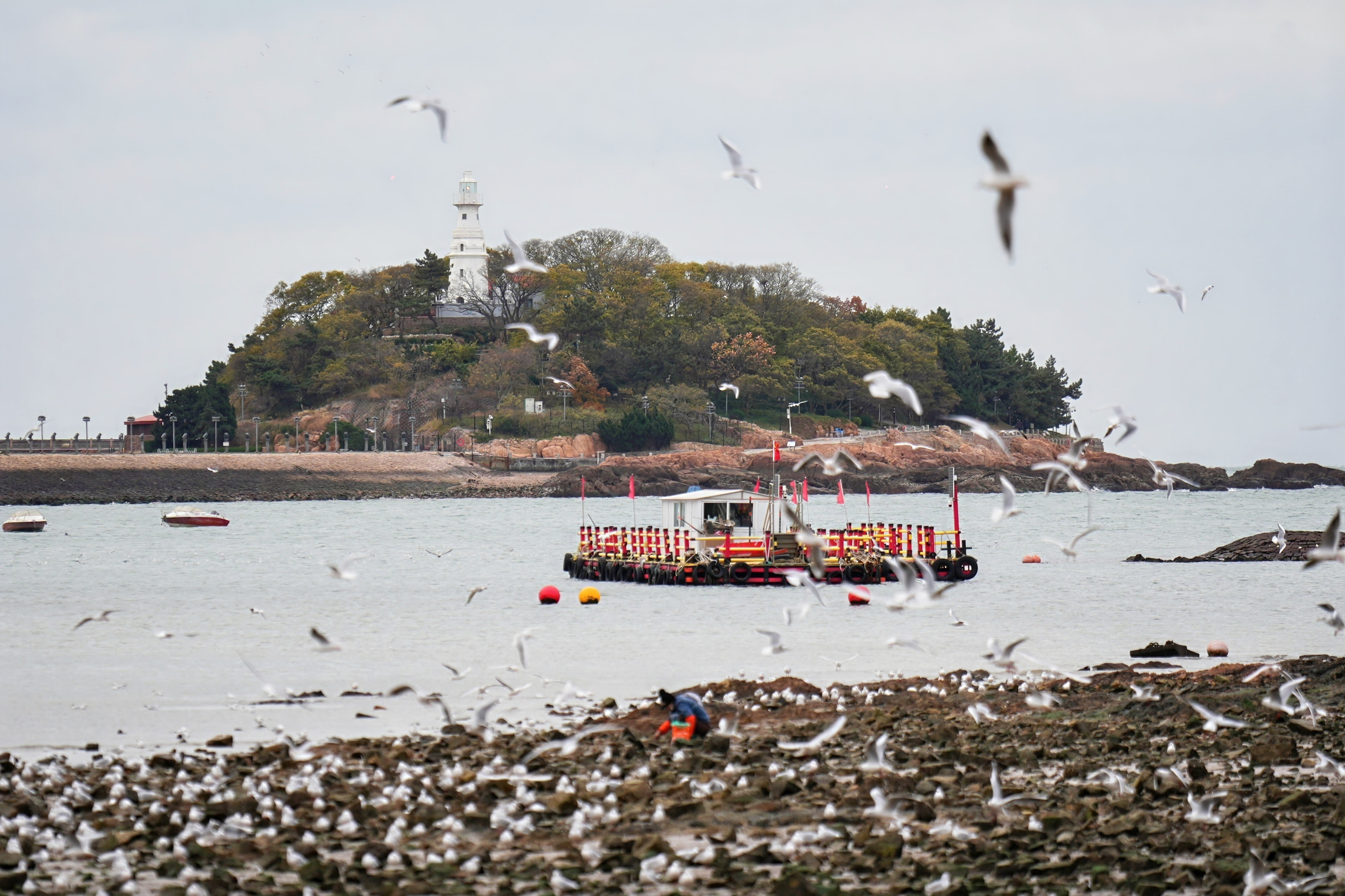 ���ӹ�ע����һ����Ÿ�Ĵ�Ǩ�ֶ���3��28��ջ�ż���